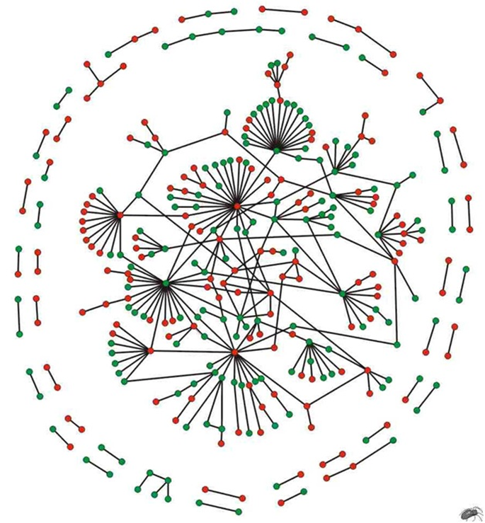 schema_whalley