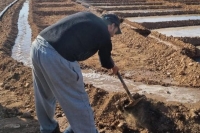 Un agriculteur réutilisant les eaux usées à Tiznit, Maroc