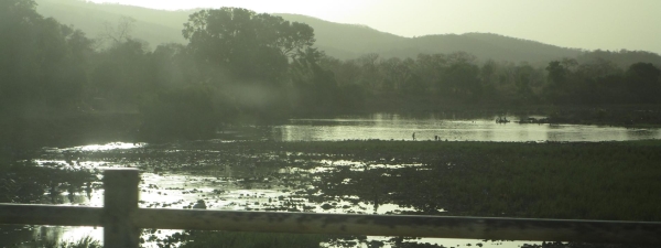 IRD le Mag&#039; 24.09.24 : Gestion des eaux transfrontalières : le bon exemple du fleuve Gambie